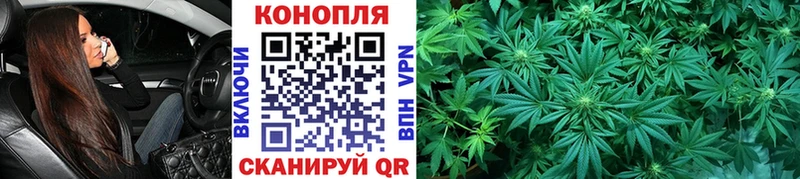 Бошки Шишки OG Kush  купить наркотик  Малмыж 